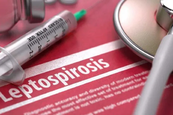 Aclaración oficial ante un mensaje viral sobre riesgos sanitarios en alimentos