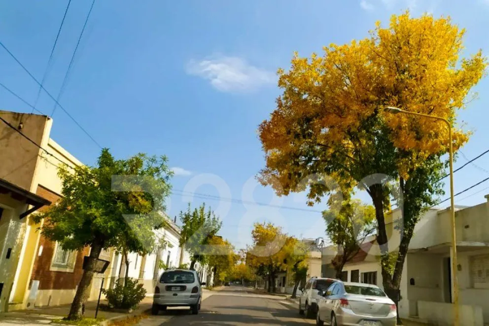 Crédito: Mauricio Ríos para R2820.