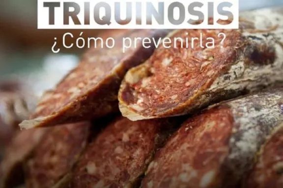 Instan a prevenir la triquinosis en la producción porcina