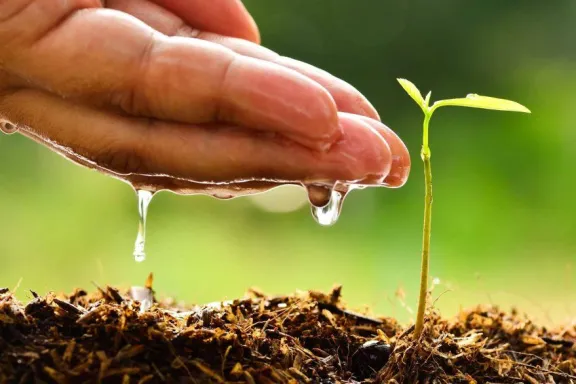 Día Mundial del Medio Ambiente: ¿por qué se celebra el 5 de junio?