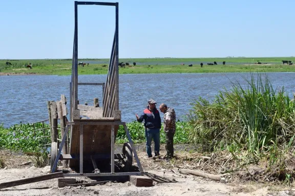 Fenómeno El Niño: productores de islas buscan campos altos para trasladar su hacienda