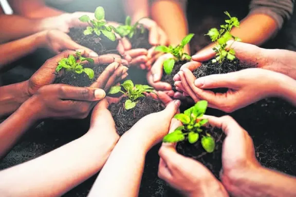 Secretaría de Ambiente, ausente sin aviso