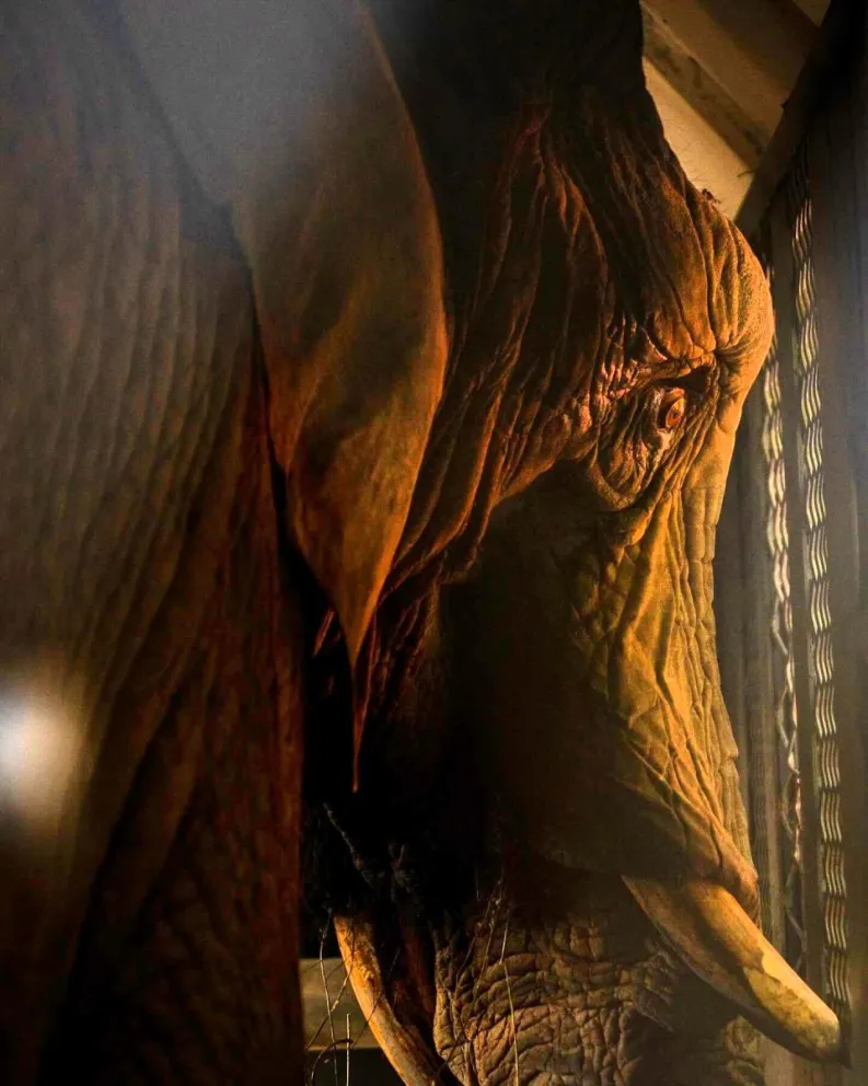 Crédito: Tomás F. Cuesta