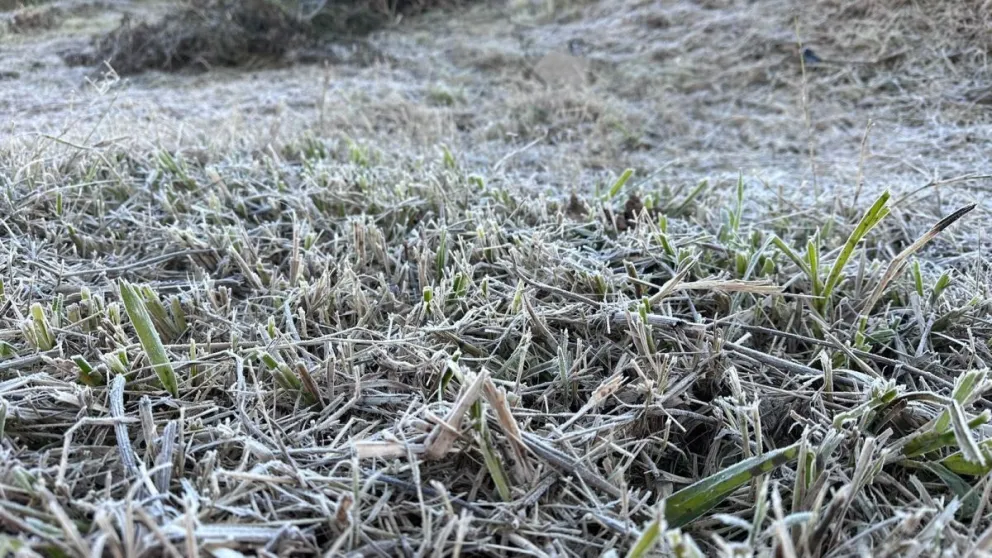 Crédito: Mauricio Ríos para R2820.