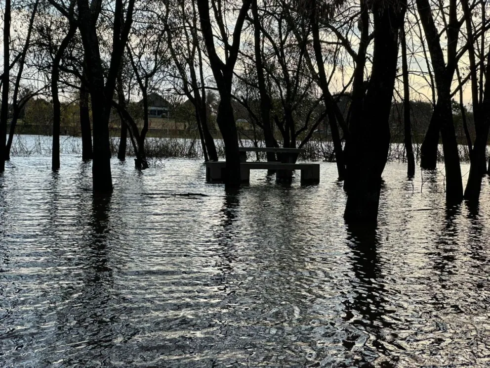 Crédito: PM para R2820.