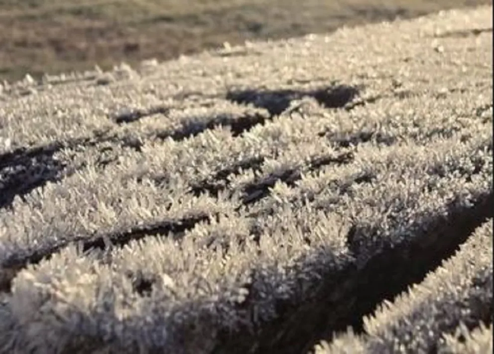 Crédito: Sabina Melchiori