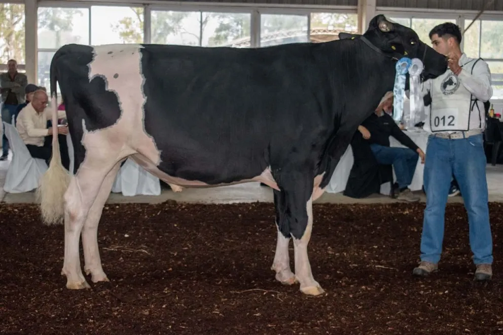 Créditos: Belen Hosftetter/Iván Marcos Vera.