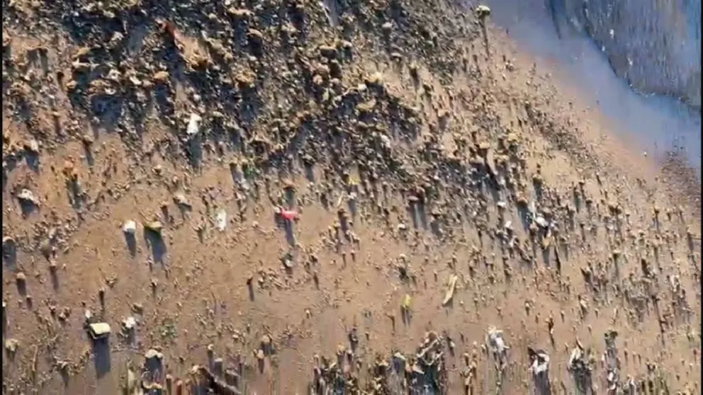 Pilar Quijano. Foto: Radio Impacto.