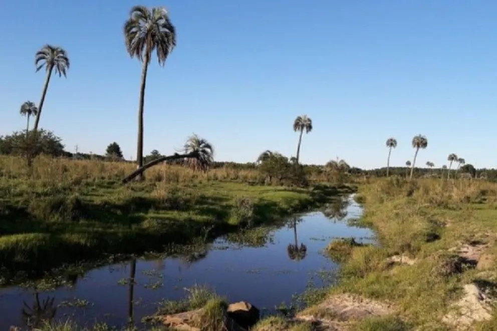 Imagen del lugar dónde construirá el empredimiento. 