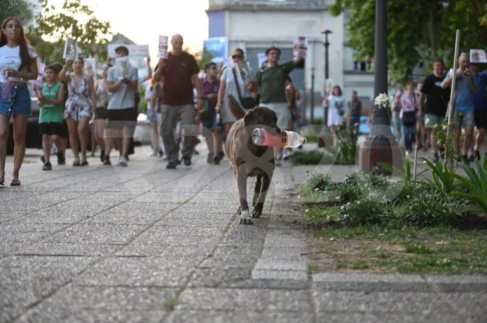 Crédito: Mauricio Ríos para R2820.