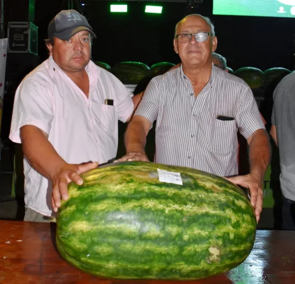 Rompió el récord: en un pueblo lograron una sandía de casi 42 kilos