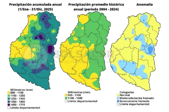 En 2025, llovieron 125 milímetros más que el año anterior