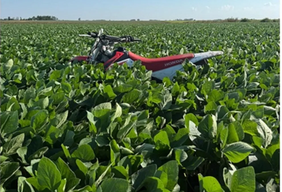 Crédito: Emiliano Medail.