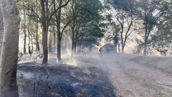 Los Bomberos salvaron una vivienda amenazada por un incendio de campo