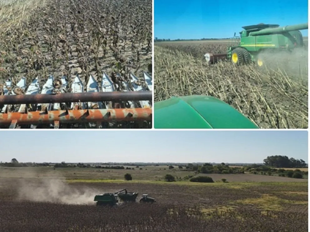 Crédito: Marcelo Valenti/SIBER