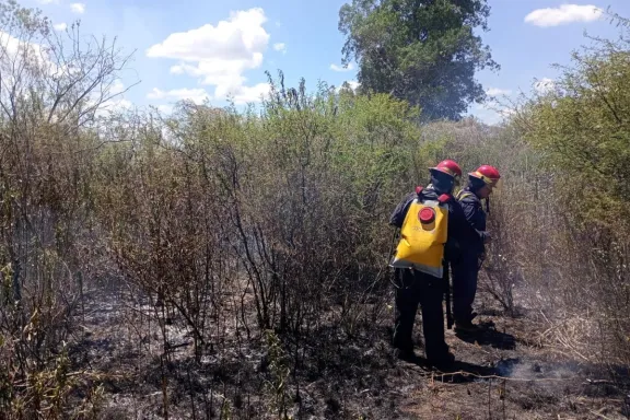 Incendio de campo demandó casi dos horas de trabajo a Bomberos Voluntarios