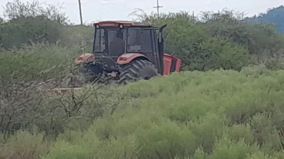 Desmonte y bacheos: alistan tramos de las rutas del corredor Uruguay