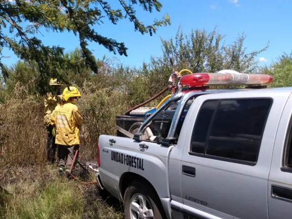 Incendio de pastizales en zona urbana de Médanos: trabajaron dos dotaciones de bomberos