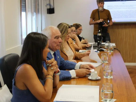 Nuevo régimen de licencias por adopción en el empleo público