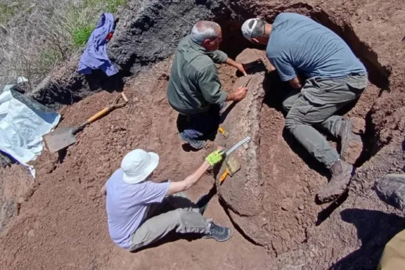 Gualeguaychú será sede del primer Club de Arqueología del país