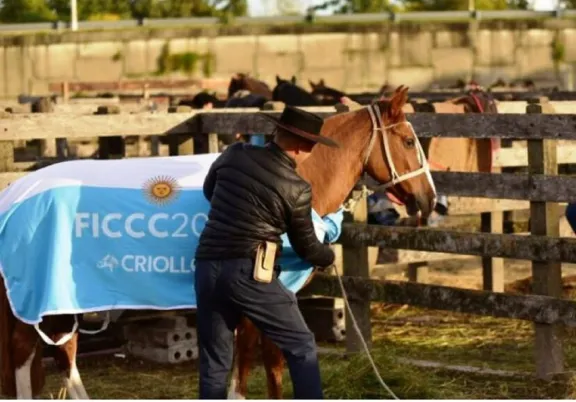 SENASA certificó el traslado y retorno de 62 caballos por el paso Gualeguaychú-Fray Bentos