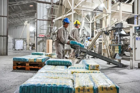 Cada vez somos menos y hay despidos en los molinos, lamentó un productor arrocero entrerriano
