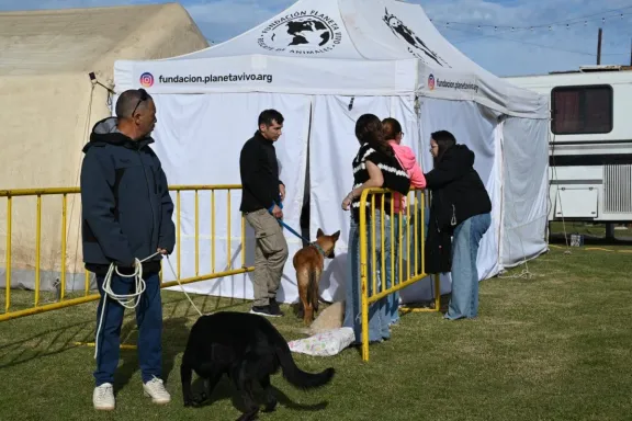 Bienestar animal: un centenar de animales ya fueron atendidos en el Guanimal Day