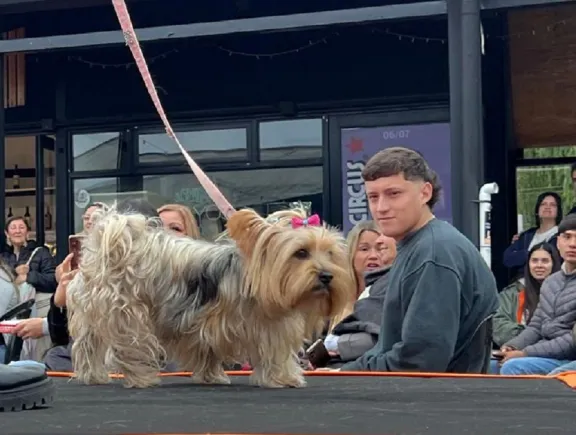 Ani, José y Mila ganaron el desfile del Guanimal Day