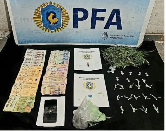 Paraná: un detenido con drogas, cocaína y plantas de cannabis