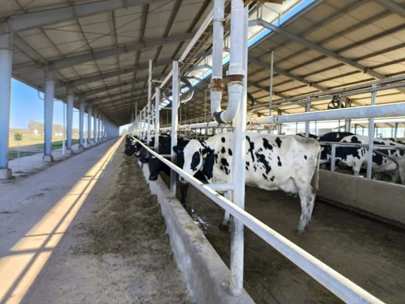Tenemos la leche más barata y los productos más caros dicen los tamberos