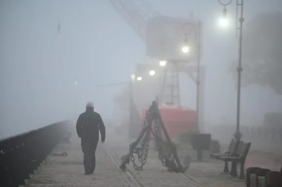 Por la neblina, hay 100 metros de visibilidad en la ciudad y corte en Zárate - Brazo Largo