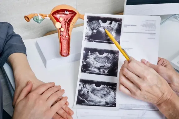 Promueven una legislación específica sobre endometriosis en la provincia