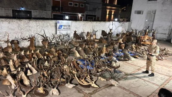 Gualeguaychú: millonario decomiso en un allanamiento a un coto de caza