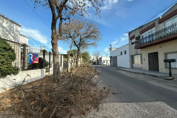 Gualeguaychú: Comenzó la poda invernal en calle 3 de Caballería