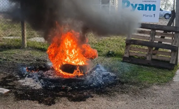 Dictaron la conciliación obligatoria en el conflicto por los despidos en Laboratorios Pyam