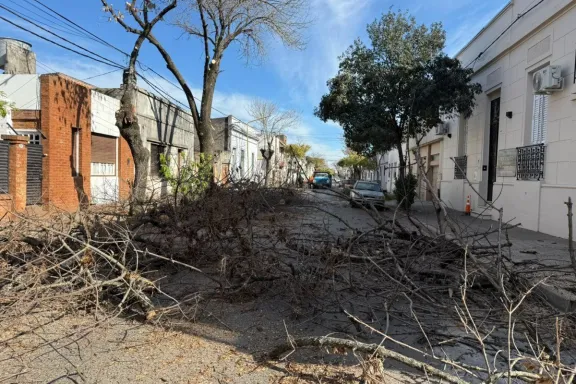 La poda invernal del macrocentro sigue en Doello Jurado hacia la Costanera