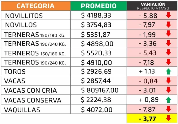 Volvió a caer el precio de la hacienda en la provincia