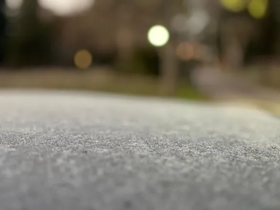 Ola de frío: Gualeguaychú registró una de las heladas más intensas del año con -2,5°C