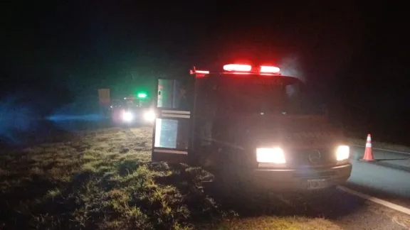 Un camión chocó y mató un animal en plena autovía