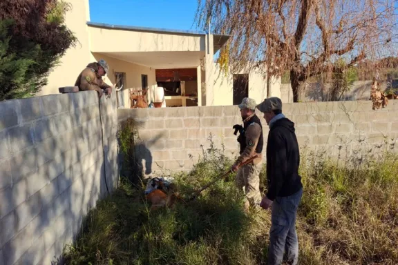 Rescataron un ejemplar de aguará guazú en Gualeguay y fue trasladado a la reserva El Potrero