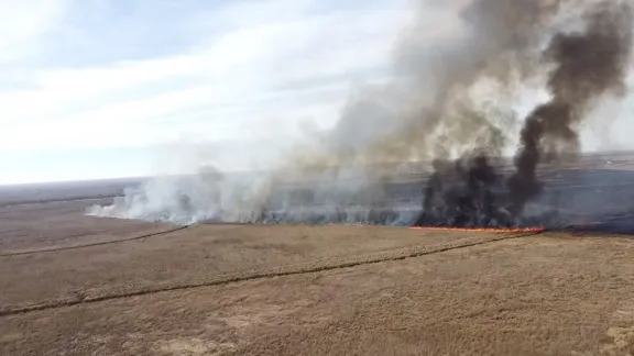 Brigadas entrerrianas combaten incendios en la zona del Delta