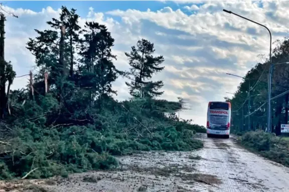 Un fuerte temporal provocó cortes de energía en Entre Ríos
