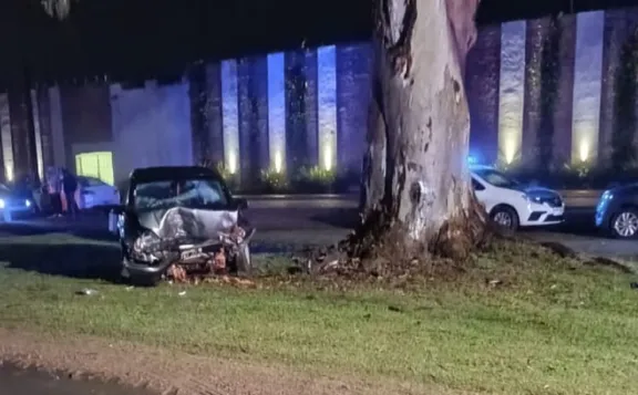 Urdinarrain: Despistó y chocó su auto contra un árbol en la Ruta 20