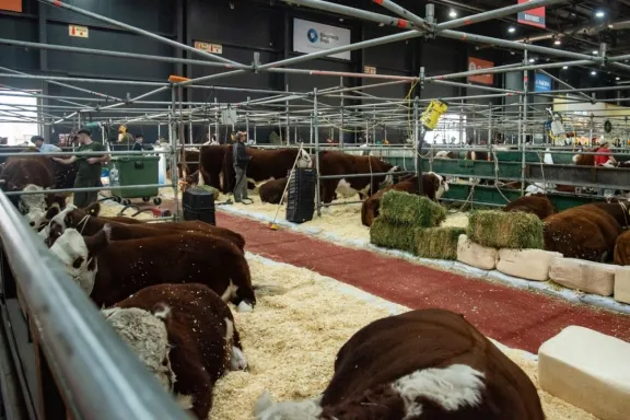 En Palermo reconocerán a productores entrerrianos