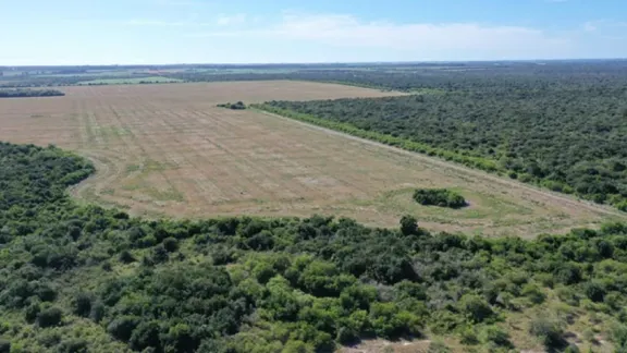 La Corte Electoral uruguaya rechazó un plebiscito departamental contra la planta de hidrógeno verde en Paysandú