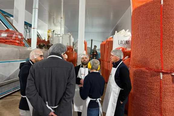 La nuez pecán gana protagonismo en la provincia con una planta nacional