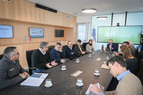 Provincia gestionará ante Nación un alivio en las tarifas eléctricas para el sector foresto-industrial