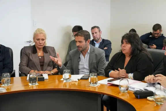 El ministro Blanzaco expuso ante el Senado el trabajo en salud mental