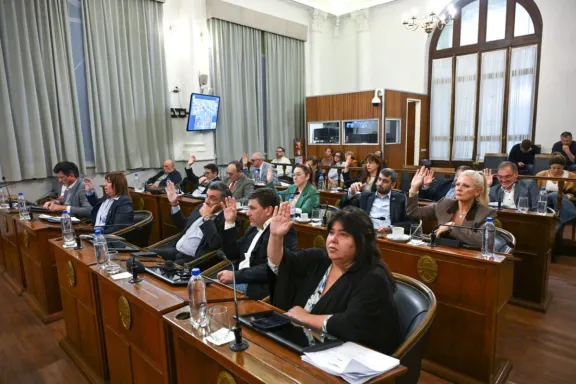 Alivio fiscal para el comercio: eximen de Ingresos Brutos a pequeños contribuyentes